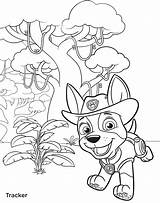 Patrol Paw Tracker Coloring Pages Jungle Getcolorings Printable Color Getdrawings sketch template