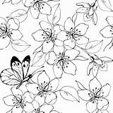 Blossoms sketch template