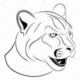Cougar Tattoo Drawing Face Stock Illustration Tattoos Outline Drawings Characters Vector Flanker Depositphotos Getdrawings Clip Fictional Disney sketch template