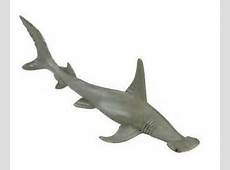 Shark Toys