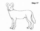 Dog Wild African Draw Coloring Drawing Getcolorings Step Pages sketch template