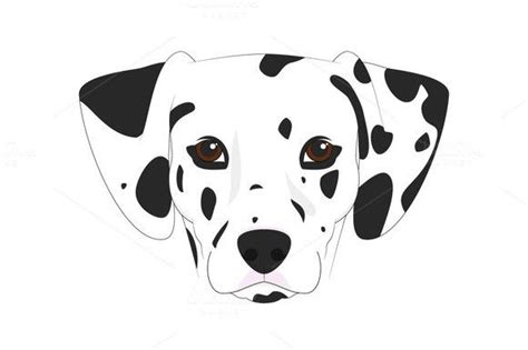 dalmatian dog vector illustration dog vector dog design art