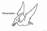 Pteranodon Dinosaurios Brontosaurus Freekidscoloringpage sketch template