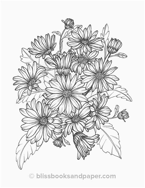 daisy coloring page bliss books  paper printable flower coloring