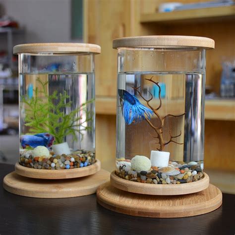 pcs glass betta fish tank bamboo base mini fish tank