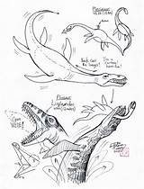 Plesiosaur Pliosaur Prehistoric Huang Diana Plesiosaurus Mythical sketch template
