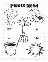 Plants Need Plant Needs Poster Activities Worksheets Preschool Kindergarten Kids Coloring Do Pages Science Parts Worksheet Sunlight Worksheetplace Classroom Lessons sketch template