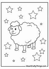 Sheep Coloring Pages Color Baa Printable Others Varies Spotted Bald Pure Chocolate While Brown Dark Some sketch template
