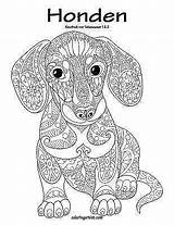 Volwassenen Honden sketch template