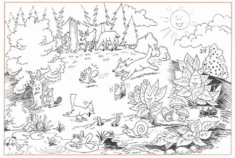 printable ecosystem coloring pages   gmbarco