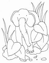 Jungle Elephant Special Color Request Unknown Posted Am sketch template