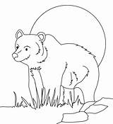 Planet Animal Coloring Pages Getdrawings sketch template