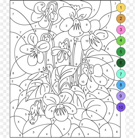 hd png color  number coloring pages  adults png