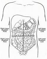 Quadrants Abdominal Drawing Quadrant Abdomen Illustration Science Source Anatomy Poster Photograph Which Paintingvalley Wall Drawings Back Uploaded March Fineartamerica 14th sketch template