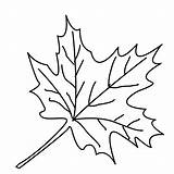 Coloring Pages Leaves Leaf Malvorlagen Ausmalbilder Maple Color Blätter Autumn Window Tree Herbstblätter Kostenlos Trees Fall Printable Kinder Blatt Herbst sketch template