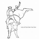 Bull Bucking Rodeo Coloring Pages Drawing Rider Color Toros Cowboy Riding Dibujos Bulls Line Riders Own Colorear Para Colouring Imprimir sketch template