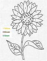 Zahlen Sonnenblumen Hellokids Ausmalen Blume Farben sketch template