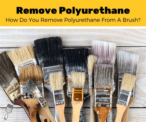 remove dried polyurethane   paint brush  step guide