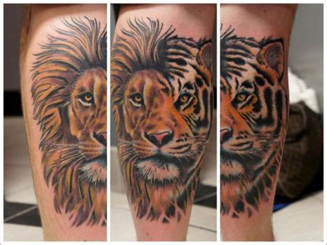 Original Half Lion Half Tiger Tattoo On Leg Tattooimages Biz