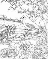 Coloring Goldfinch Bird State Jersey Pages Violet Blue Adult Supercoloring Flower Color Coloriage Printable Adults Scene Flowers Nj Book sketch template