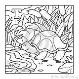 Coloring Alphabet Letter Children Book Pantano Turtle Colorless Stock Designlooter 400px 87kb sketch template