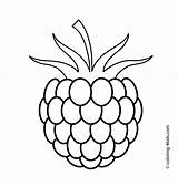 Coloring Raspberry Fruits Printable Fruit Pages Berries Kids Color 4kids Malina Da Draw sketch template
