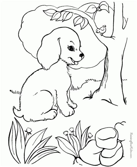 printable coloring pages  dogs