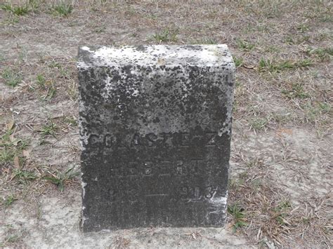 scholastie azelie guidry hebert   find  grave memorial