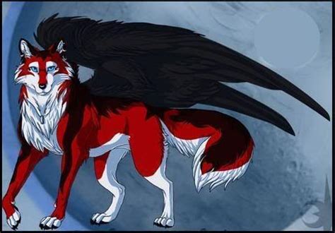 winged black red  white wolf anime wolf  wings pinterest wings followers  wisdom