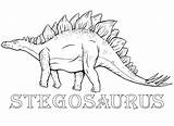 Stegosaurus Dibujos Dinosaur Coloringgames Jurassic sketch template