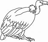 Vulture Buzzard Cliparts Vulcher Vautour Coloriages Clipartlook sketch template