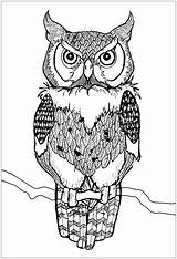 Hibou Gufi Gufo Owls Hiboux Adulti Buhos Adultos Eulen Colorier Erwachsene Malbuch Coloriages Justcolor Scaricare Tiere Reale Reales Disegnare Stampare sketch template