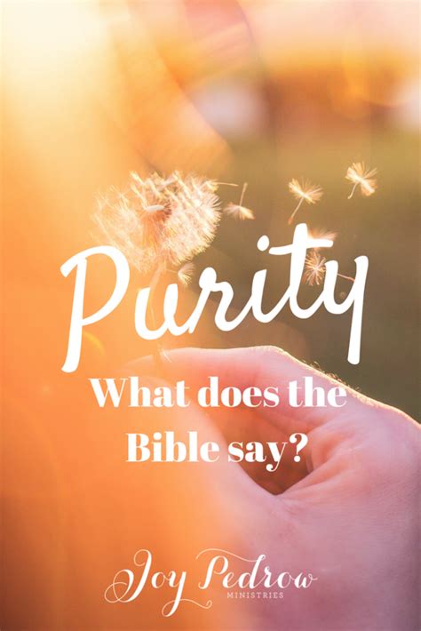 What Does The Bible Say About Purity Joy Pedrow