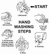 Washing Coloring Hand Pages Hands Steps Step Printable Wash Kids Food Clean Poster Safety Hygiene Proper Contamination Cause Info Germs sketch template