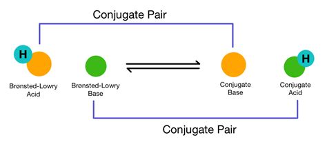 conjugate acid base pairs overview examples expii