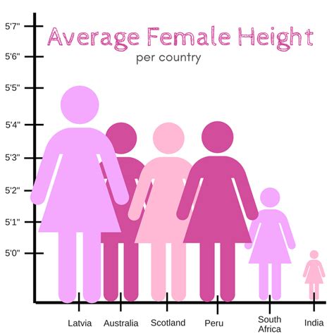 graph comparing average womens height   world iswell