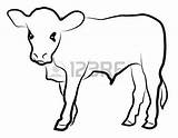 Calf Easy Calves sketch template