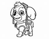 Paw Patrol Coloring Pages Skye Sky Clipart Drawing Book Zuma Marshall Color Printable Coloringhome Line Getcolorings Clipartmag Comments Print Colo sketch template