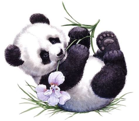printable panda ruth morehead arte de panda animais bonitos