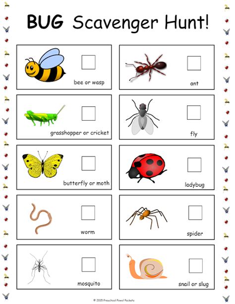 insect bug spider themed  preschool printables preschool