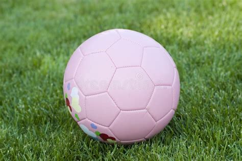 pink soccer ball stock photo image  exercise lawn