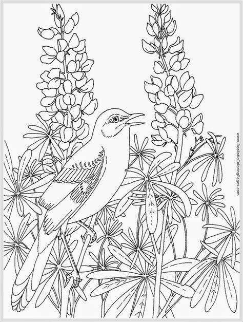 printable realistic coloring pages printable world holiday