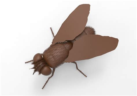 fly fly fly  model  printable cgtrader
