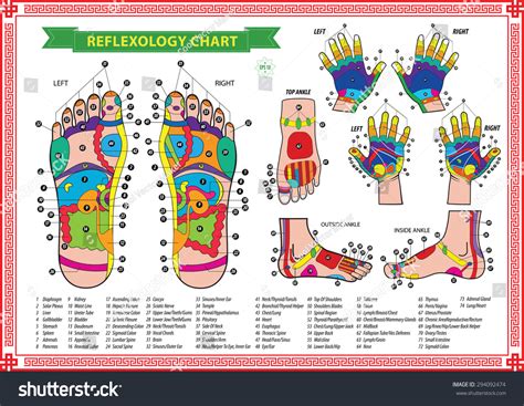 grafica de reflexologia de pies  vector de stock libre de regalias