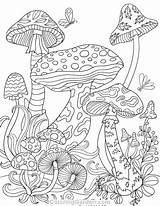 Mushrooms Adult Trippy Psychedelic Mandala Pilze Sheets Malvorlagen Toadstools Mandalas Herbst Ceciley Marlar Detailed Frog Stoner Ausmalbilder Erwachsenen Adultcoloringpages sketch template