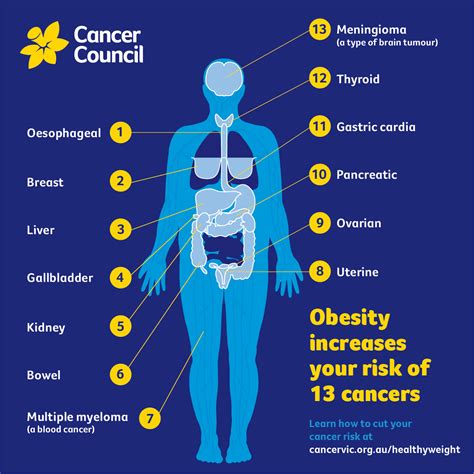 weight  cancer    link cancer council victoria