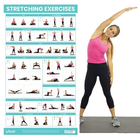 vive stretching exercise poster stretch workout  rehab gym home