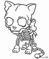 Cat Skeleton Skeletons Draw Webmaster обновлено автором July sketch template