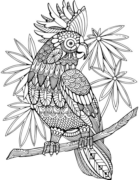 coloring pages animals  adults