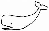 Whale Outline Coloring Pages Whales sketch template
